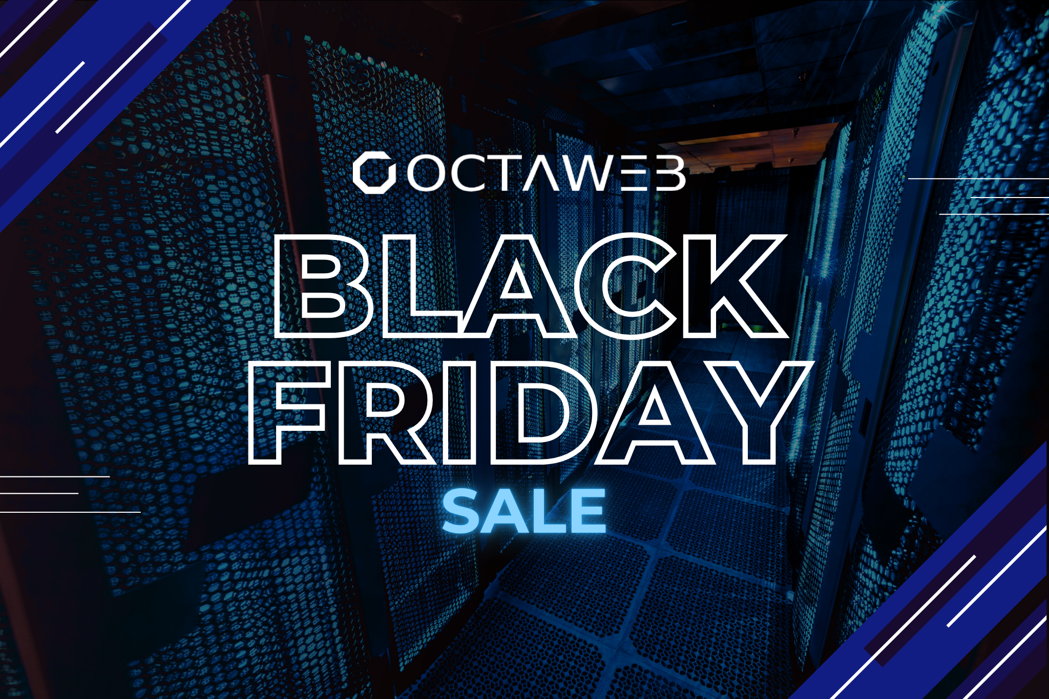 OctaWeb Black Friday Sale – 21st to 30th November